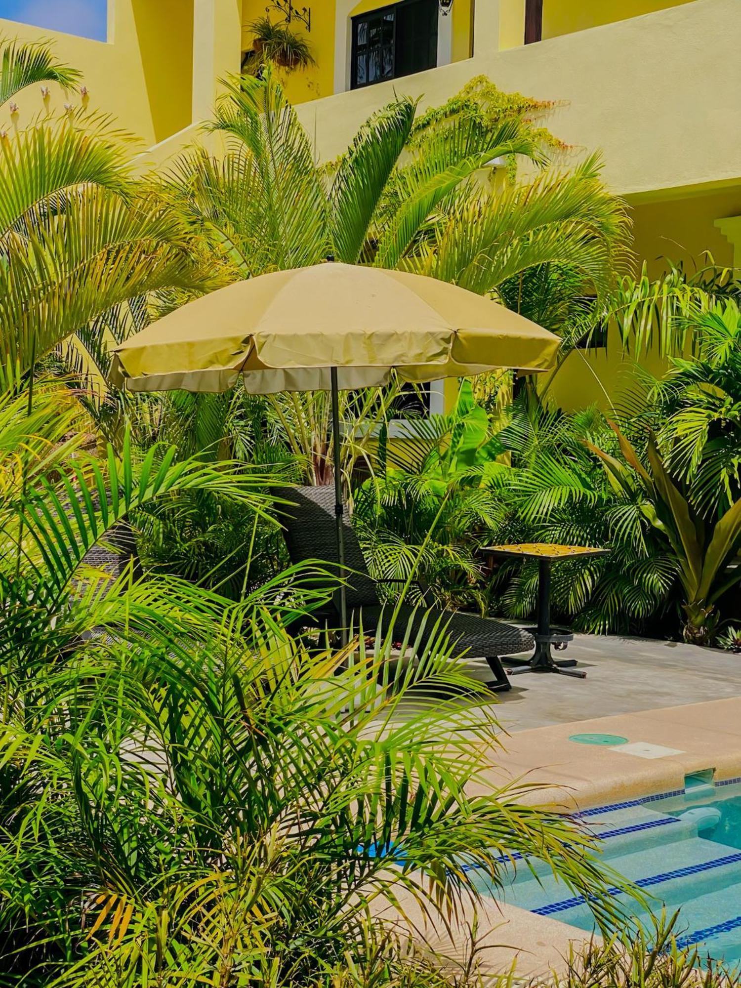 Gallo Azul Hotel, En El Corazon De *