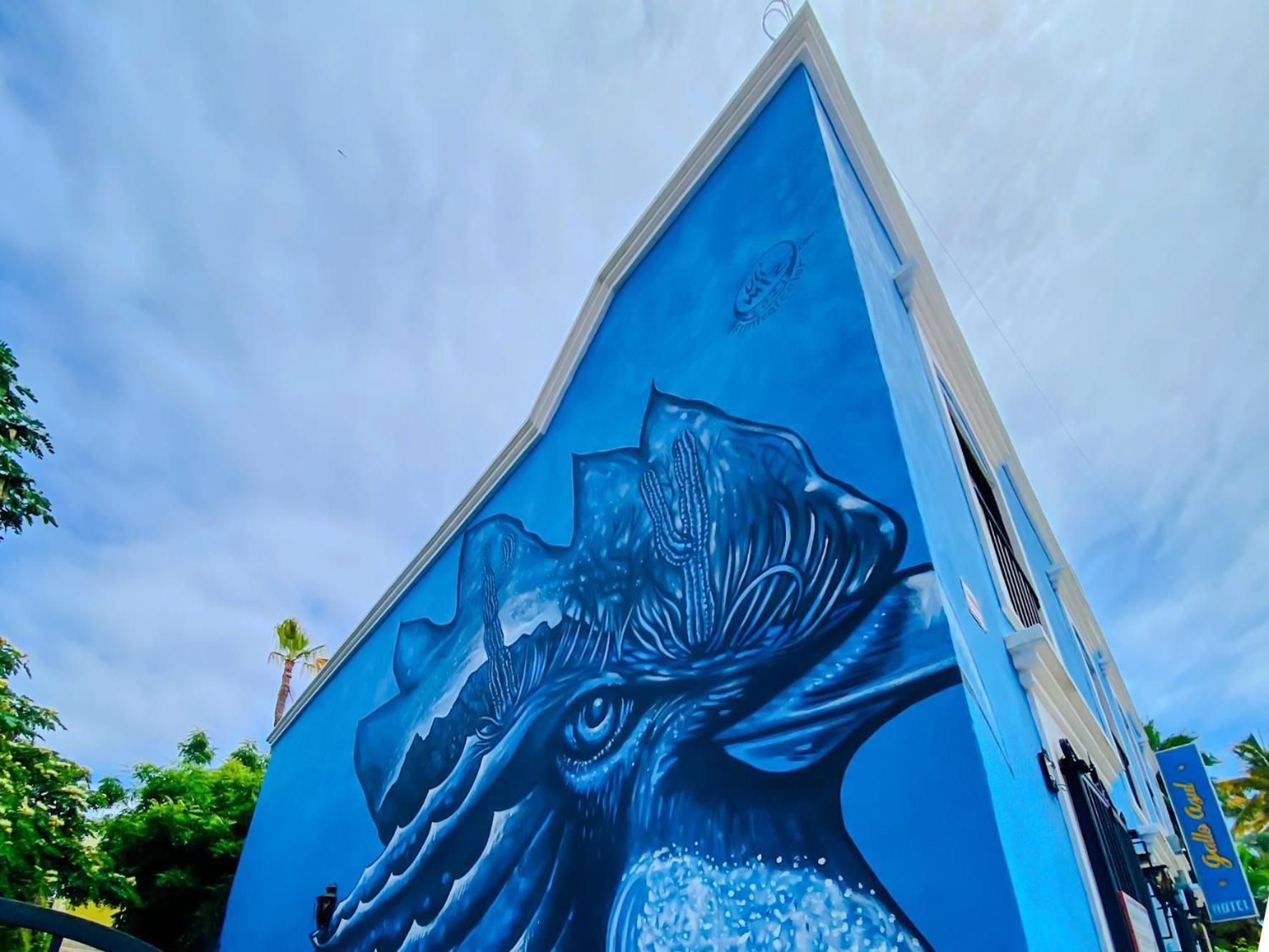 Gallo Azul Hotel, En El Corazon De Todos Santos
