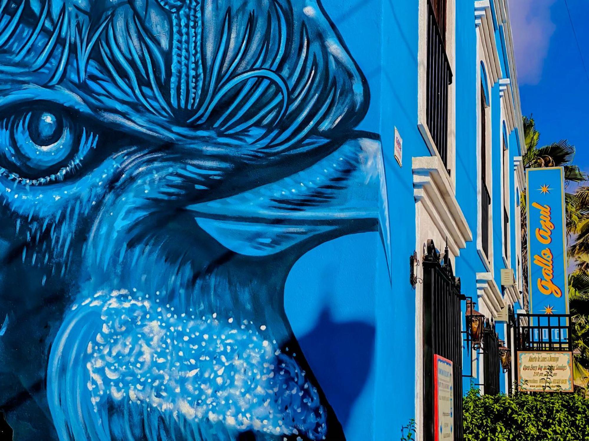 Gallo Azul Hotel, En El Corazon De