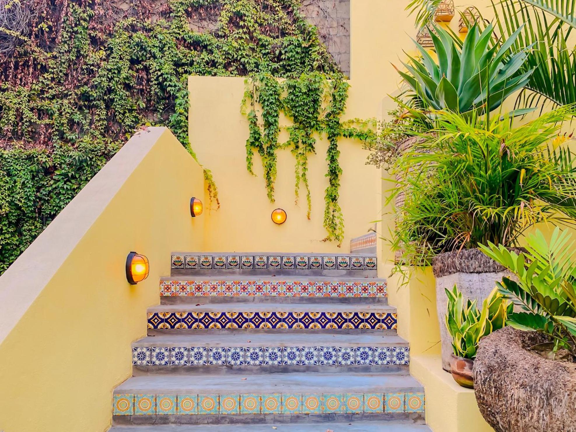Apartamento Gallo Azul Hotel, En El Corazon De Todos Santos