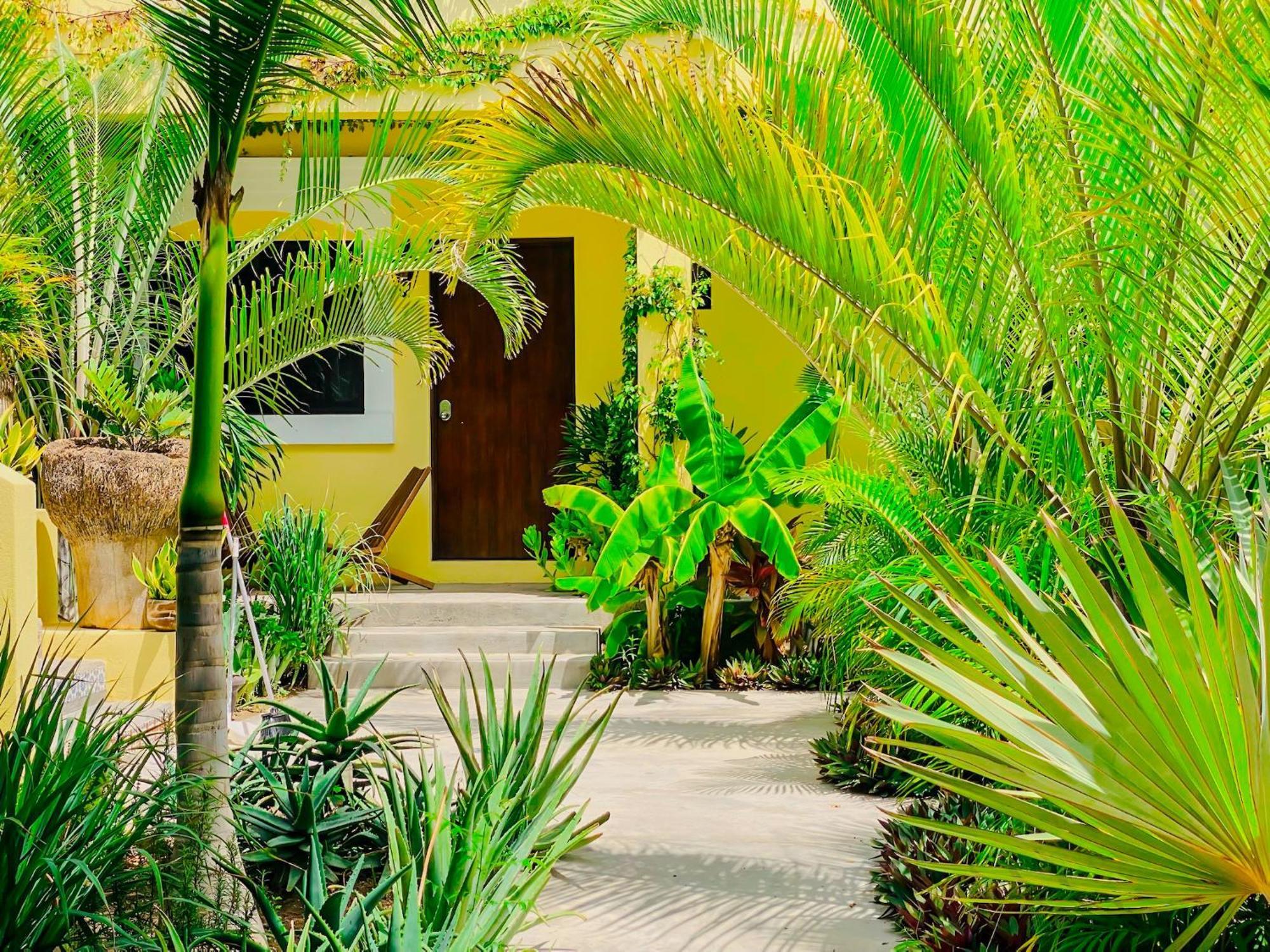 Gallo Azul Hotel, En El Corazon De Apartamento Todos Santos